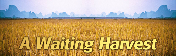 a_waiting_harvest